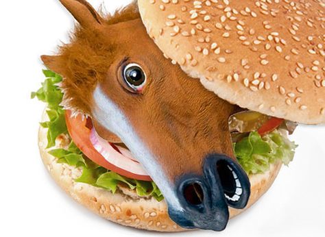 Meat has to be disguised for humans' consumption. Taco Bell Beef, Horse Meat, Horse Food, King Horse, Burger Meat, Beef Burgers, Delicious Burgers, Majestic Animals, How To Make Shorts