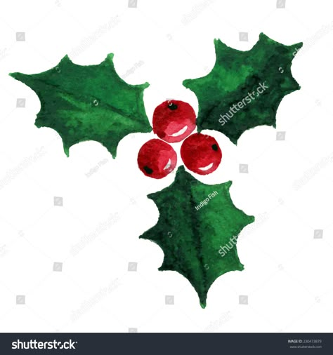 christmas holly berry symbol watercolor illustration  Royalty free  image  illustration Christmas Berries Illustration, Watercolor Holly And Berries, Holly Berry Drawing, Christmas Holly Drawing, Holly Doodle, Christmas Holly Images, Winter Doodles, Affordable Christmas Gifts, Drawing Christmas