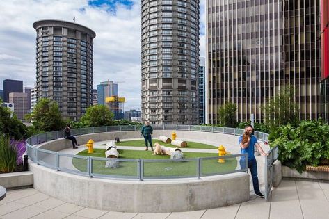 Rooftop Dog Park, Small Dog Park, Dog Park Design, Outdoor Dog Area, Puppy Playground, Indoor Dog Park, Dog Kennel Designs, Dog Parks, Pet Area