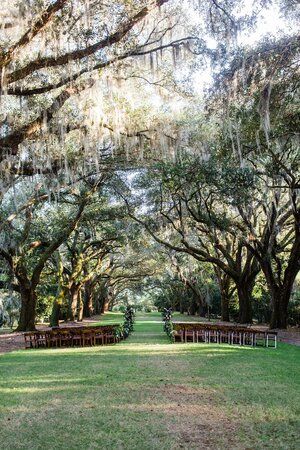 Louisiana Wedding Venues Outdoor, Mossy Oak Tree Wedding, Low Country Wedding Ideas, Timeless Wedding Outdoor, Louisiana Outdoor Wedding, Southern Charm Wedding Decorations, Old Southern Wedding Theme, Wedding Oak Tree, Willow Tree Wedding Decorations