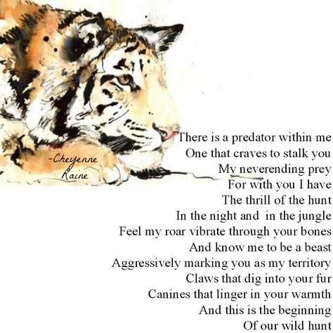 The Tigress by Cheyenne Raine Tiger Poem, Animal Poetry, Prey Predator, Tiger Conservation, Art Help, Chinese Astrology, Poetry Art, Year 3, A Beast