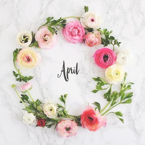 April Month Quotes, May Month Flower, Quotes With Flowers, Flower Months, Welcome April, Happy Birthday Month, May Month, New Month Wishes, April Month