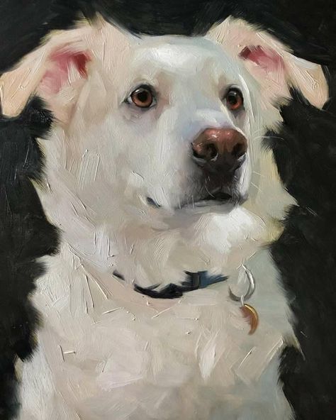 Jennifer Gennari, Pet Portrait Paintings, Dog Portraits Painting, Dog Portraits Art, Wal Art, Oil Painting Inspiration, Afrique Art, Art 2024, 강아지 그림