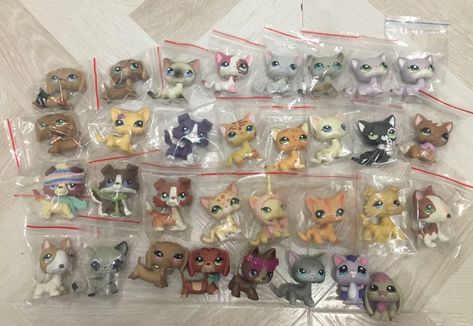 Lps Nostalgia, Lps Houses, Lps Drawings, Lps For Sale, Lps Toys, Anime Paper, Lps Pets, Lps Littlest Pet Shop, Littlest Pet Shop