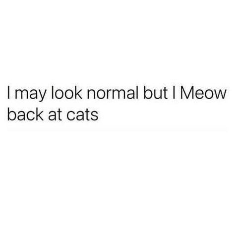 I May Look Normal But Quotes, Random Captions, Bio Captions, Citrus Logo, Funny Bio Quotes, Funny Bio, Funny Compliments, Cat Parents, Snapchat Ideas