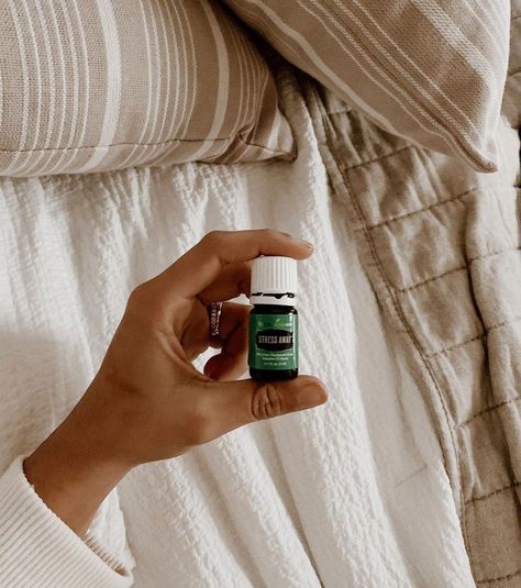 Young Living Essential Oils US on Instagram: “First, we diffuse Stress Away, and then we do all the things. 📸: @edifyhome” Digize Essential Oil Young Living, Digize Essential Oil, Living Aesthetic, Living Photo, Young Living Oils, Oil Uses, Essential Oil Uses, Young Living Essential Oils, Young Living