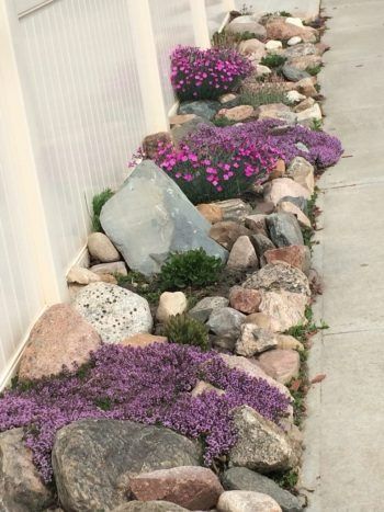 Landscaping Ideas Perfect for Your Side Yard ~ Bless My Weeds Side Yard Ideas, Narrow Backyard, Rock Drainage, Tiny Yard, Rock Yard, Flower Planting, Backyard Sanctuary, Side Yard Landscaping, Black Thumb