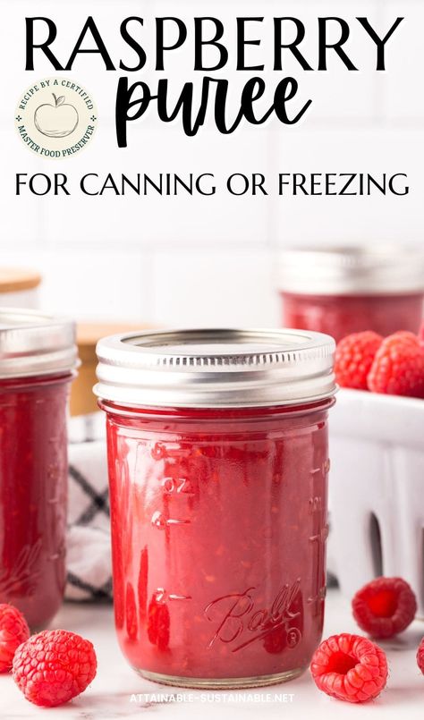 Canning Raspberry Sauce, Canning Raspberries Recipes, Raspberry Canning Recipes, Canning Raspberries, Raspberry Puree Recipe, Canning Berries, Cake And Cheesecake, Raspberry Puree, Canning Recipe