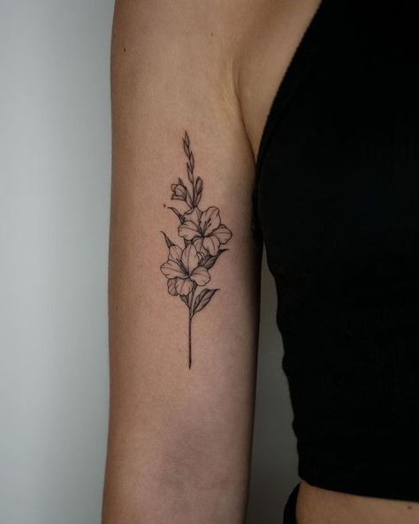 Women Flowers Tattoo, Gladiolus Flower Back Tattoo, Gladiolus Tattoo Line Art, Aster And Gladiolus Flower Tattoo, Gladius Tattoo Flower, Gladiolus And Aster Tattoo, Gladiolus And Daffodil Tattoo, Gladiolus Tattoo With Name, Rose And Gladiolus Tattoo