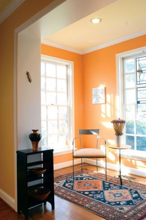 I love pale orange for walls Orange Room, Contemporary Family Room, Warm Paint Colors, Orange Rooms, Living Room Orange, Kitchen Wall Colors, Bedroom Orange, Interior Design Color, Blue Furniture