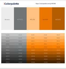 26 Latest Color Schemes with Slate Gray And Dark Orange Color tone combinations | 2021 | iColorpalette Dark Grey Color Combinations, Colours That Go With Grey, Dark Orange Color, Orange Color Schemes, Orange Tone, Orange Color Palettes, Shade Card, Brush Art, Orange Wood