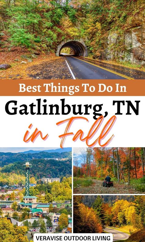 November Festivals, Gatlinburg Fall, Sky Lift, Things To Do In Gatlinburg, Gatlinburg Tennessee Vacation, Smokey Mountains Vacation, Ober Gatlinburg, Smoky Mountains Tennessee, Gatlinburg Vacation