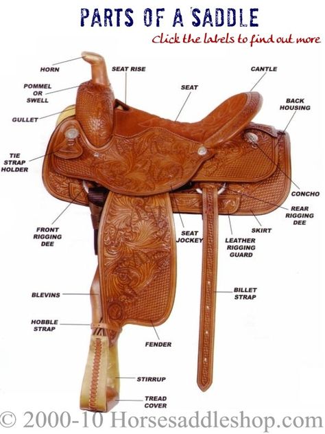 Western saddle Horse Necessities, Horse Lessons, Horse Club, Saddle Shop, Cow Boys, Horse Facts, Transport Museum, Horse Camp, Horse Gear