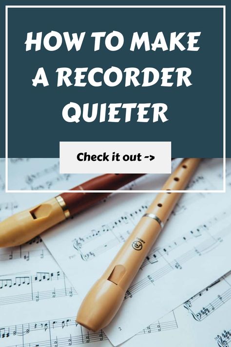 How to Make a Recorder Quieter. Check it out ->. How To Play Recorder, Recorder Musical Instrument, Sound Proof Flooring, Recorder Instrument, Recorder Songs, Recorders, Piece Of Paper, Played Yourself, Grade School