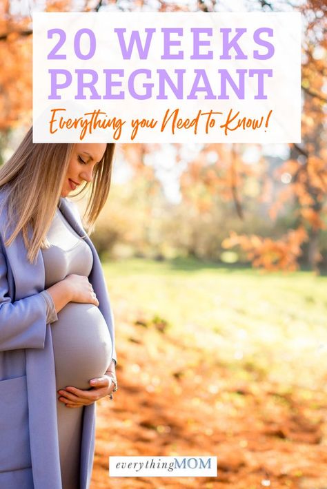 Pregnancy Calendar, 20 Weeks Pregnant, Pregnancy Massage, Pregnancy Help, Newborn Baby Tips, Pregnancy Information, Mom Life Hacks, 20 Weeks, Pregnancy Quotes