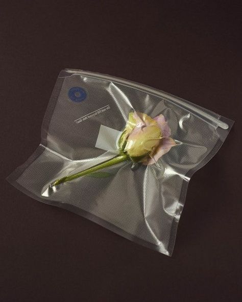 Still Life Photographers, Lady Bird, Creative Packaging, Fashion Editorial, Still Life Photography, Art Direction, Plastic Bag, Packaging Design, Art Inspo