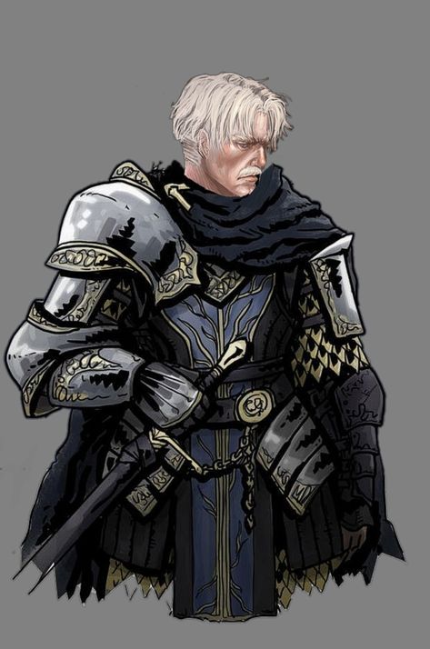 Dnd Paladin, Old Warrior, Knight Art, Dungeons And Dragons Characters, Dnd Art, Fantasy Armor, Fantasy Warrior, Armor Concept, Fantasy Concept Art