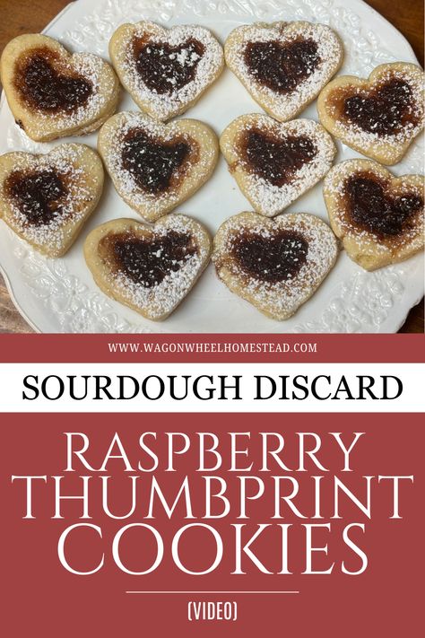 These raspberry heart cookies are a must-try! Made with sourdough discard for a tender texture and filled with sweet raspberry jam, these homemade thumbprint cookies are an irresistible combination of tangy and sweet. Perfect for sharing or enjoying with a cup of tea! Raspberry Thumbprint, Raspberry Thumbprint Cookies, Cookie Videos, Sourdough Discard, Thumbprint Cookies, Heart Cookies, Raspberry Jam, Bread Dough, Sourdough Bread