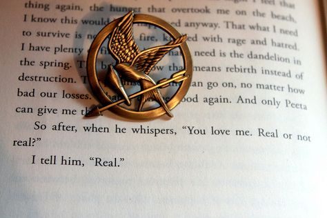 Real or not real. My absolute favorite line of the entire series! Real Or Not Real, Hunger Games Pin, Hunger Games Wallpaper, Hunger Games Humor, Katniss And Peeta, Hunger Games 3, Hunger Games Series, Hunger Games Catching Fire, Hunger Games Trilogy