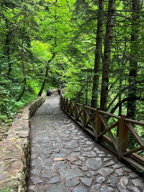 Premium Photo | Stone path in the forest leading to sumela monastery trabzon turkey june 24 2023 Trabzon Turkey, Stone Path, Scenery Wallpaper, Forest, Places To Visit, Stock Photos, Stone, Travel