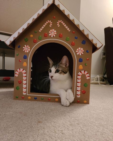 Gingerbread Cat House, Cardboard Box Cat House Diy, Cat Box Ideas, Christmas Cat House, Cute Cat Crafts, Cat Christmas Gifts, Gingerbread Cat, Cardboard Cat House, Diy Pet Toys