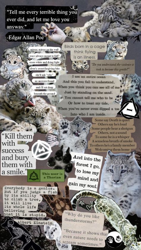 Snow Leopard Therian, Let Me Love You, Snow Leopard, Animals Wild, Cute Wallpapers, Love You, Animals