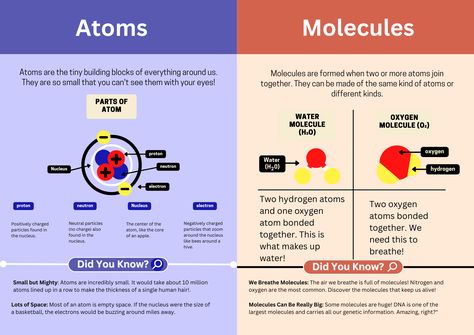 Discover the amazing world of atoms and molecules with fun science facts! Atoms are the tiny building blocks of matter, and molecules are formed when these atoms join together.Follow us for more STEM education#Atoms #Molecules #ChemistryForKids #ScienceExperiments #EducationalActivities #FunScienceFacts #SimpleChemistry #ScienceLearning #STEMEducation #BuildingBlocksOfMatter #HandsOnScience Fun Science Facts, Atoms And Molecules, Chemistry For Kids, General Chemistry, Chemistry Basics, Student Tips, Science Vocabulary, Nursing Student Tips, Healing Spirituality