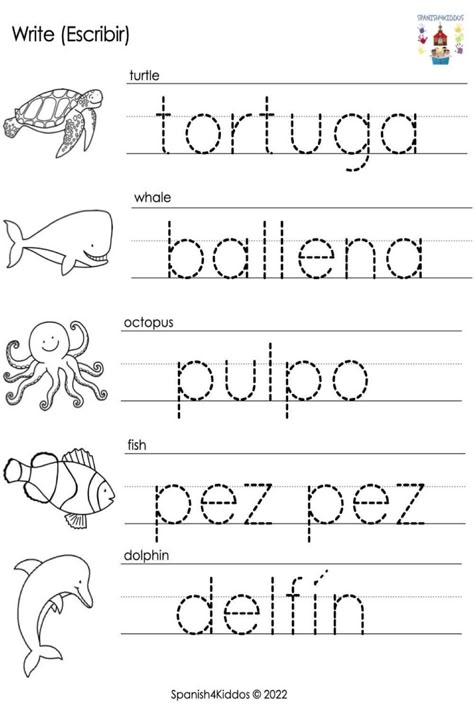 Spanish Letters, Preschool Spanish Lessons, Spanish Reading Activities, Spanish Learning Activities, Preschool Spanish, Spanish Classroom Activities, Learning Spanish For Kids, Spanish Lessons For Kids, Spanish Immersion