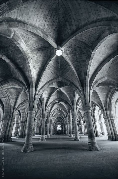 Gothic Cathedral Interior, Gothic Crypt, Gothic Ceiling, Gothic Architecture Interior, Gothic Theater, Arch Photography, Neo Gothic Architecture, Gothic Arches, Gothic Academia