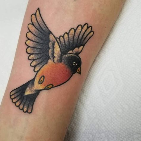 Top 91 Best Robin Tattoo Ideas - [2021 Inspiration Guide] Red Robin Tattoo, Robin Tattoo Ideas, Robin Bird Tattoos, Robin Tattoo, Tiny Bird Tattoos, Vogel Tattoo, Hyper Realistic Tattoo, Trending Tattoo, Traditional Style Tattoo