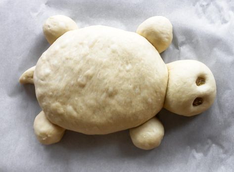 Turtle Bread - Run to the Table Animal Shaped Bread, Turtle Bread, Dough Art, Shaped Bread, Turtle Shape, Homemade Baked Bread, Turtle Crafts, Yeast Dough, Bread Shaping