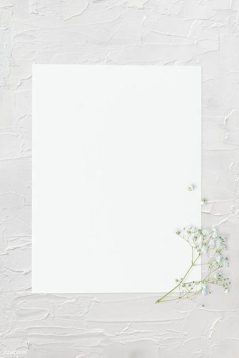 Blank plain white paper template | premium image by rawpixel.com / KUTTHALEEYO White Paper Template, Blank White Background, Instagram Photo Frame, Botanical Wedding Invitations, Instagram Background, Instagram Frame Template, Framed Wallpaper, Instagram Wallpaper, Flower Background Wallpaper