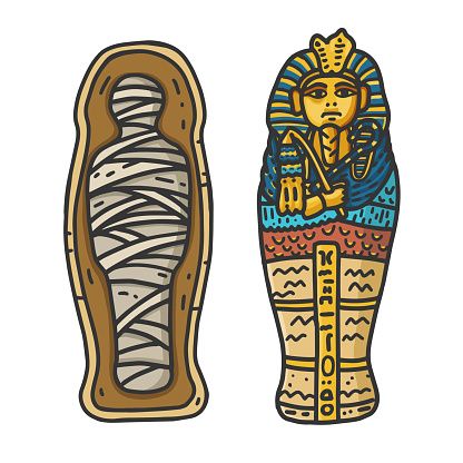 Sarcophagus Tattoo, Tutankhamun Mummy, Ancient Egypt Mummies, Human Body Science Projects, Egyptian Sarcophagus, Ancient Egypt Crafts, Ancient Egypt Projects, Egypt Crafts, Egyptian Drawings