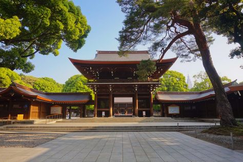 Meiji Jingu, Things To Do In Tokyo, Popular Things, Meiji Shrine, Yoyogi Park, Japan Sakura, Tokyo Skytree, Japan Travel Tips, Hidden Places