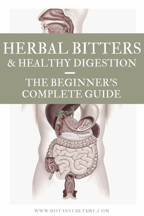 Learn how to use nutritive foods and medicinal herbs and spices to make digestive bitters that can help support not only healthy digestion, but your overall health as well. #healthydigestion #digestion #bitters #digestivebitters #herbalmedicine #diy Digestive Bitters Benefits, Spice Cabinet Ideas, Bitter Foods, Crunchy Stuff, Tinctures Herbal, Old Remedies, Bitter Herbs, Digestive Herbs, Herb Tinctures