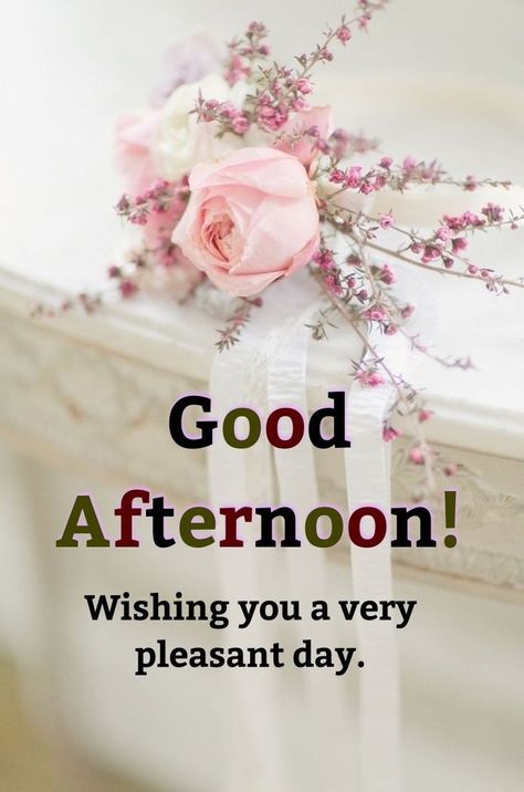 Good Afternoon Sunday, Afternoon Messages, Good Afternoon Quotes, Sunday Images, Good Evening Greetings, Afternoon Quotes, Evening Greetings, Good Morning Flowers Quotes, Happy Good Morning Quotes