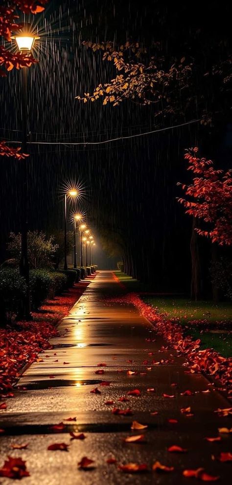 Fall Rain Aesthetic, Rainy Day Wallpaper, Wallpaper Maker, Iphone Wallpaper Fall, Iphone Wallpaper Hd Nature, Street Lights, Autumn Scenery, Beautiful Landscape Wallpaper, Beautiful Nature Wallpaper