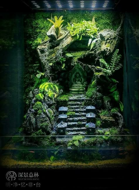 Fantasy Layout, Axolotl Tank, Water Terrarium, Frog Terrarium, Aquarium Garden, Fish Tank Terrarium, Aquascape Design, Fish Tank Design, Beautiful Terrariums