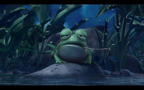 Hopping frogs, toads, tadpoles and amphibian gif animations Frog Eating Fly, Frog Tongue, Frog Eating, Frog Food, Fly Drawing, Poetry Funny, Disney Fairy, Fairy Friends, Young Animal