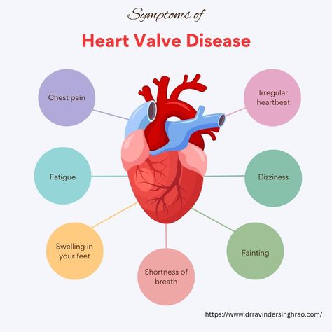 Symptoms of Heart Valve Disease Cardiac Surgeon, Healthcare Ads, Heart Valve, Heart Valves, Health Podcast, Heart Function, Natural Pain Relief, Shortness Of Breath, Chest Pain