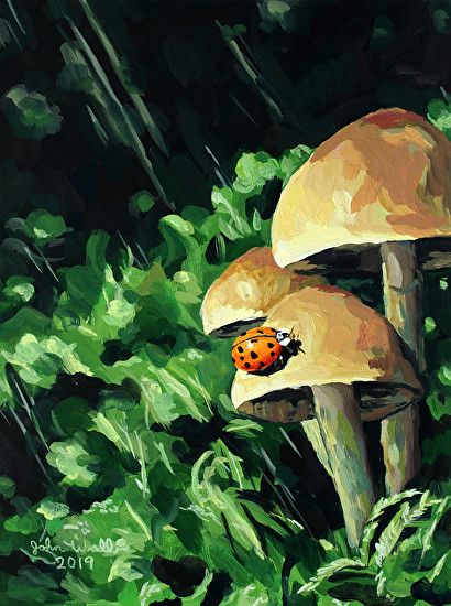 Black Canvas Mushroom Painting, Dark Mushroom Painting, Mushroom Acrylic Painting Easy, Mushrooms Painting Easy, Painted Mushrooms Acrylic, Mushroom Painting Aesthetic, Painting Ideas On Canvas Mushrooms, Acrylic Painting Mushroom, Acrylic Mushroom Painting