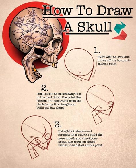 🆁🅸🅲🅷🅰🆁🅳 🆂🅷🅰🆆 on Instagram: "How to Draw a Skull from start to finish. 9 simple to follow steps, this is one of the skulls from my How To Skull Study with @tattoospaceco if you like it the set has 30 tutorials and hundreds of skulls as well as a ebook with tips of shading, lighting, structuring and more. Also got my How to Traditional as well. Link in bio or go to www.Tattoospace.com for more #howtodraw #drawingtutorial #drawingtips #drawingtipsandtricks #drawingforfun #learntodraw #dr How To Draw Traditional, How To Draw Skulls Step By Step, How To Draw Skull, How To Draw A Skull, Skull Drawing Ideas, Draw Skull, Draw A Skull, Skull Study, Sketchbook Tattoo