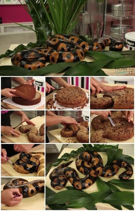 Reptile Cake, Snake Cake, Cake Step By Step, Snake Cakes, Diy Snake, Snake Birthday, Snake Party, How To Cake, Reptile Party