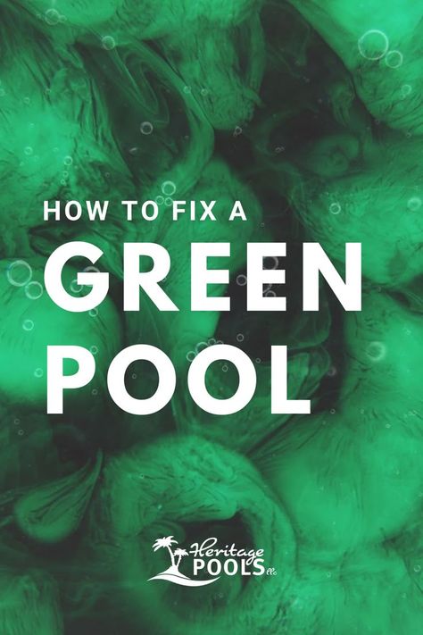 A step-by-step guide to clearing green algae from your pool. Clean Green Pool, Green Pool Water, Pool Algae, Pool Cleaning Tips, Stagnant Water, Pool Shock, Green Pool, Pool Vacuum, Swimming Pool Water