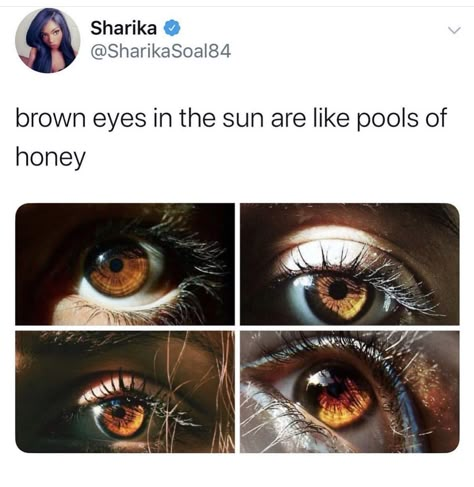 Brown Eyes In The Sun, Funny School Quotes, Brown Eye Quotes, Brown Eyes Aesthetic, Pretty Brown Eyes, Eye Quotes, Funny School, School Quotes, Aesthetic Eyes