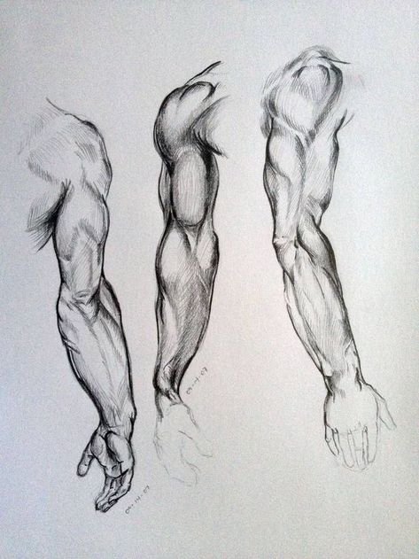 Movement Sketch, Arm Anatomy, Amazing Embroidery, Human Anatomy Drawing, Body Sketches, Human Figure Drawing, Human Anatomy Art, Anatomy Sketches, Anatomy For Artists