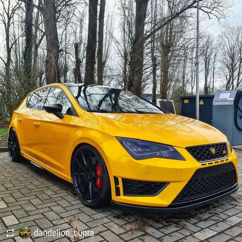 Seat Cupra, New Ferrari, Beige Nails, Hot Hatch, Seat Ibiza, Super Luxury Cars, Seat Leon, Car Wrap, Sports Cars Luxury