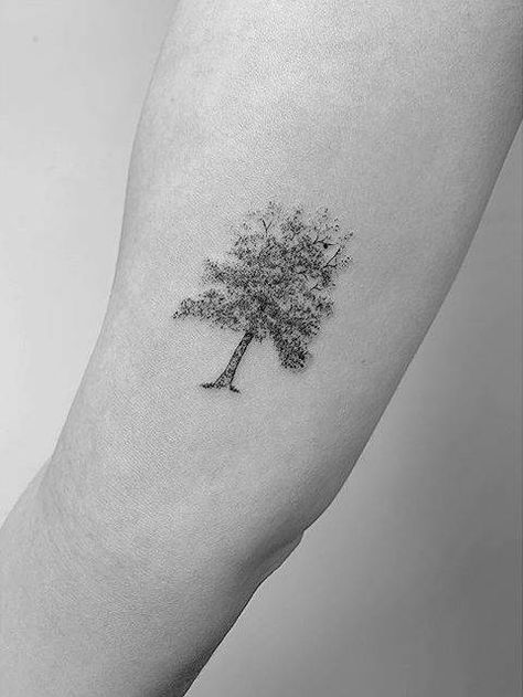 Apple tree tattoo on the inner arm. Apple Tree Tattoo, Tattoo Apple, Giving Tree Tattoo, Giving Tree Tattoos, Tree Tattoo Arm, Grace Tattoos, Willow Tree Tattoos, Inner Arm Tattoos, Tattoo Tree