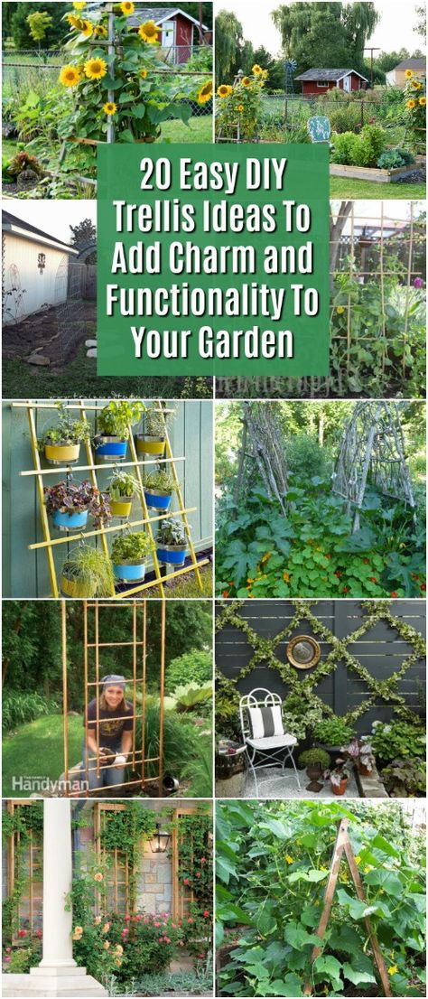 Serre Diy, Garden Diy Decoration Ideas, Diy Trellis Ideas, Vertical Container Gardening, Building A Trellis, Flower Trellis, Diy Garden Trellis, Trellis Ideas, Cheap Pergola