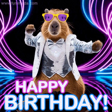 Funny dancing capybara happy birthday GIF Capybara Happy Birthday, Happy Birthday Gif, Birthday Gifs, Neon Text, Funny Dancing, Black Backdrop, Perfect Gif, Dance Humor, Black Backdrops